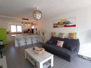 Beau 3 pièces climatisé, piscine privée, parking au Grau-du-Roi - FR-1-307-215 - 8