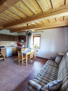 Drevenica Západné Tatry s kúpacou kaďou a krbom - 2