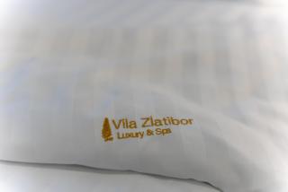 Vila Zlatibor luxury & spa - 9