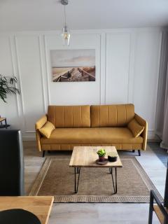 LIKE A BOSS Executive Apartment Gdynia City Center Bank Polski 1929 - Gdynia - 2