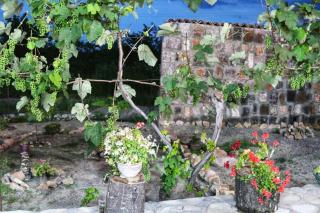 Hotel Classic - Telavi - 1