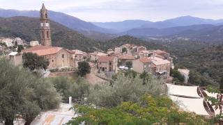 Ducourneau Grimaldi - Moltifao - 9