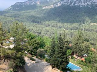 Trinitys Forest Bungalows - 2