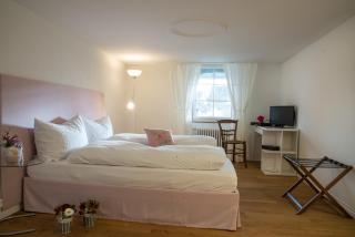 3 Sterne Boutique Gasthaus Pöstli - Rifferswil - 6