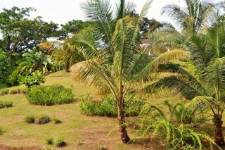 Nathylodge - Bocas del Toro - 7