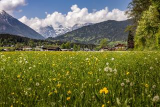 Ferienwohnungen Reich - Schönau am Königssee - 6