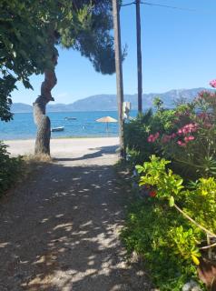 AGGELIKI STUDIOS 1 - Agios Georgios - 8