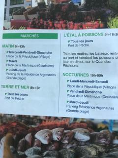 T2 30m2 piscine lac mer - 1