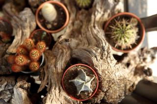 Stilvi - Tsagkarada - 2