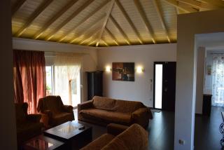adonia villa - Lefkakia - 9