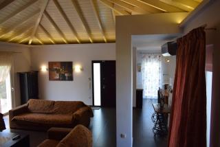 adonia villa - Lefkakia - 0