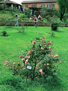 PORTA MAGGIORE 9 ROMA Locazione Turistica - 6