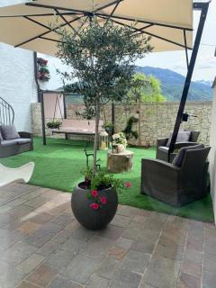 L'edera Grande - Civezzano - 3