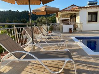 Villa Valmas - Città di Skiathos - 4