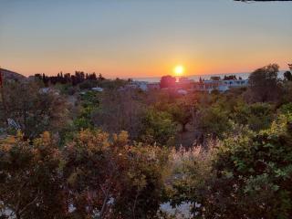 Ktima Natura - Archangelos - 7