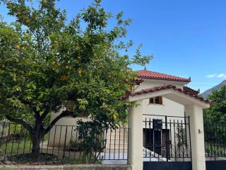 Lemon Tree House - Leonidio - 8