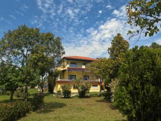 Pond and Pines, by nice house by the sea! - Epanomi - 8