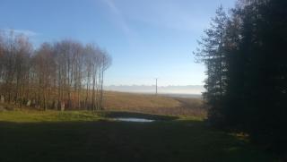 Chatka nad stawami - 1