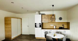 Apartmán U Jelena Dolní Morava - Dolní Morava - 5