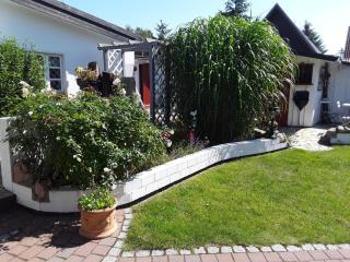 Ferienhaus in Zempin mit Garten - Zempin - 8