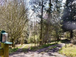 Red Squirrel Haven - 6