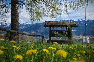 Hotel Garni Edy - Daiano - 1