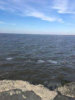 Boho Beachfront Bungalow waterfront on the beach - 4