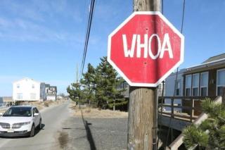 Boho Beachfront Bungalow waterfront on the beach - 1