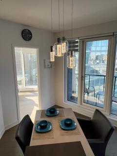 Beautiful one bedroom downtown Condo with pool and free parking - Montreal - 6