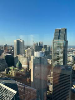 Beautiful one bedroom downtown Condo with pool and free parking - 8