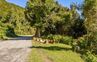 Gorgeous Apartment In Carcheto Brustico - Carcheto - 5