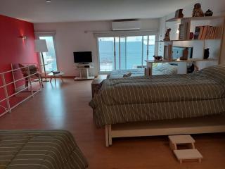 Hermoso Dúplex lleno de aire y luz en Villa Crespo - Buenos Aires - 2