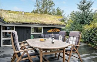 Liroke - Blåvand - 3