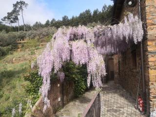 Alqueria De Hurdes - 2