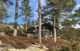 Gorgeous Home In Dølemo With Wifi - Dølemo - 8
