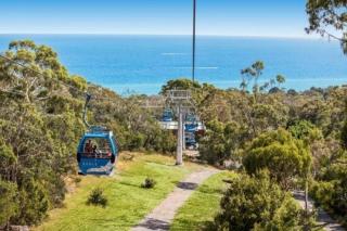 Set amongst the treetops of Arthurs Seat - Arthurs Seat - 8
