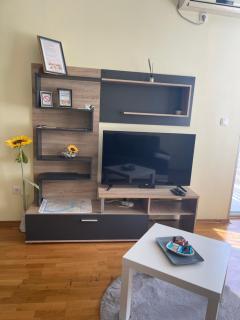 Apartment Sunflower021 - Novi Sad - 6