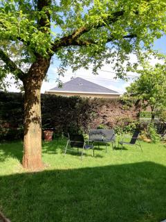 studio avec jardin à Rodez - Rodez - 0