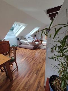 Komfort Ferienwohnung Biene - Saarbrücken - 3