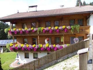 Haus Luxer - Auffach - 5