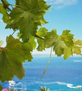 Apartment By The Sea - 1