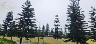Coolsuites Elegant Deluxe - Tagaytay - 9