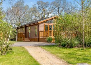 Wareham Forest Lodge Retreat - 5