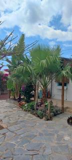 BEAUTIFUL VINTAGE BUNGALOW WIFI PARKING. - Las Galletas - 8