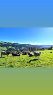Allgäu Cottage - traumhafter Blick in die Schweizer Berge - 2