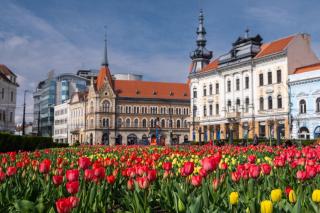 Pretty Luxury Apartament's - Cluj-Napoca - 7
