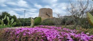 Rena Bianca 8 - Santa Teresa Gallura - 6
