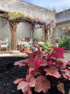 Hotel de la Sologne - Beaugency - 4