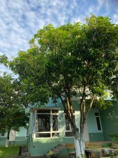 Villa 108, 303 - Eureka Linh Trường - 7