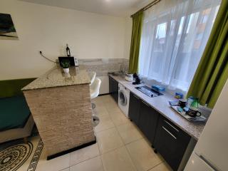 Garsoner Green Home - Sibiu - 9
